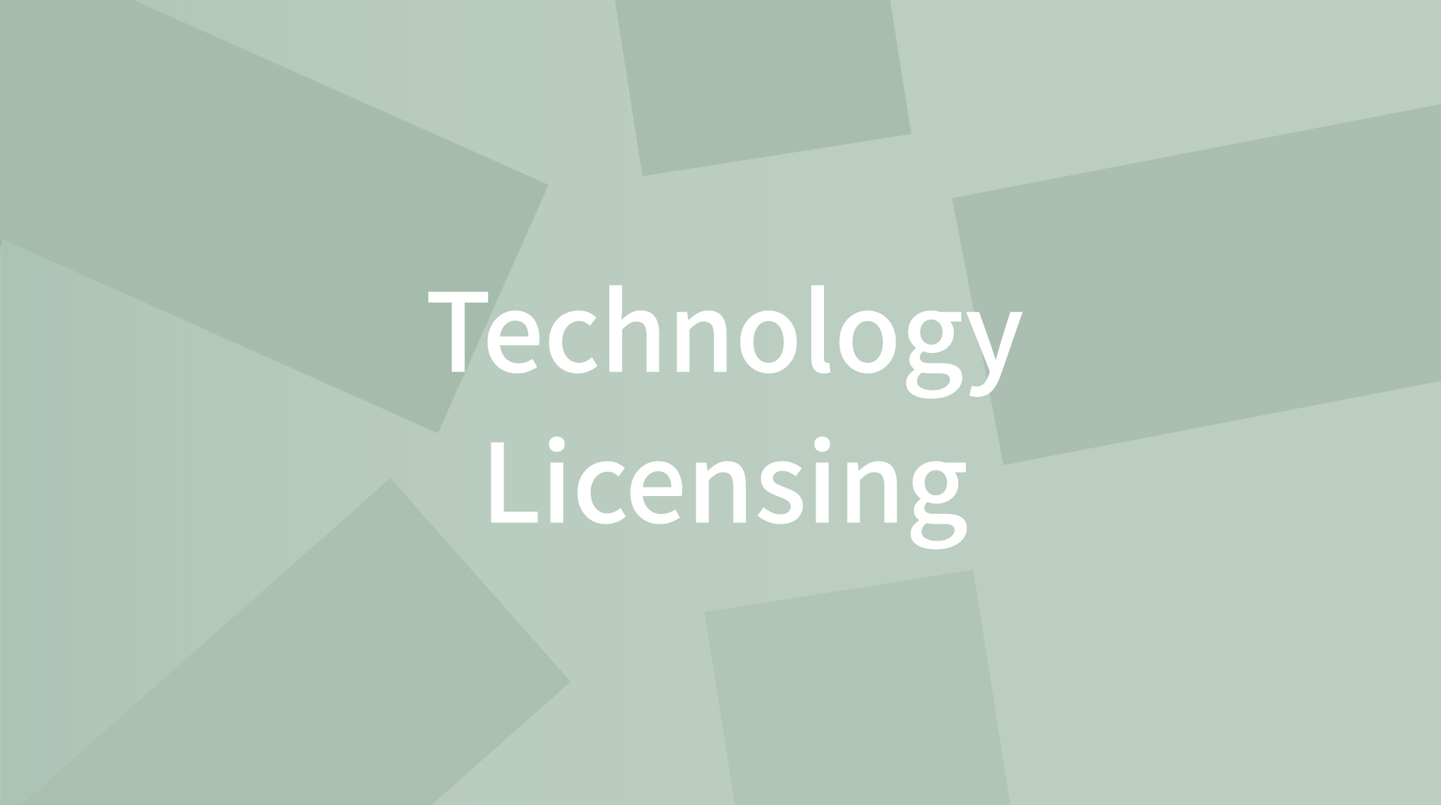 Technology Licensing Business